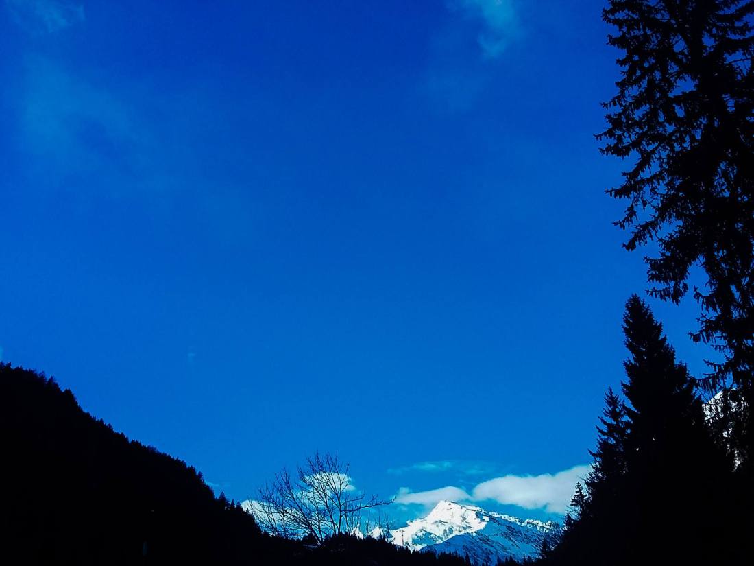 49312059_2246228638740722_1896889129665298432_o_2246228635407389